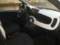 Fiat New Panda PANDINA  1.0 FIREFLY S-S HYBRID CROSS Vert - thumbnail 15