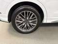 Audi Q3 35 TDI S line 110kW Blanco - thumbnail 44