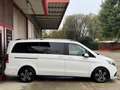 Mercedes-Benz V V 250 CDI BlueTEC Automatic Premium Amg Long Blanco - thumbnail 16