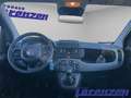 Fiat Panda Mild Hybrid EU6d MY25 1.0 Klima PDC DAB Spurhaltea Blauw - thumbnail 11