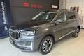 SWM G05 1.5 139cv BENZINA E GPL *LEGGERE* Grau - thumbnail 1