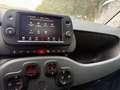 Fiat Panda Panda 1.0 firefly hybrid Cross s Rosso - thumbnail 9