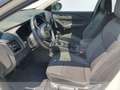 Nissan Qashqai 1.3 mhev n-connecta 2wd 140cv Bianco - thumbnail 11