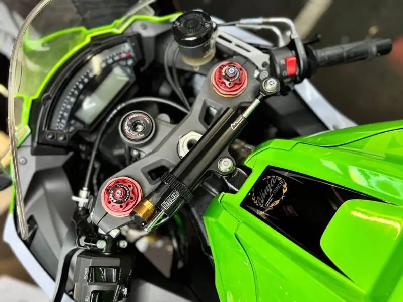 Kawasaki Ninja ZX-10R - foto 6