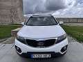 Kia Sorento 2.2 CRDi Emotion Aut. Blanco - thumbnail 5