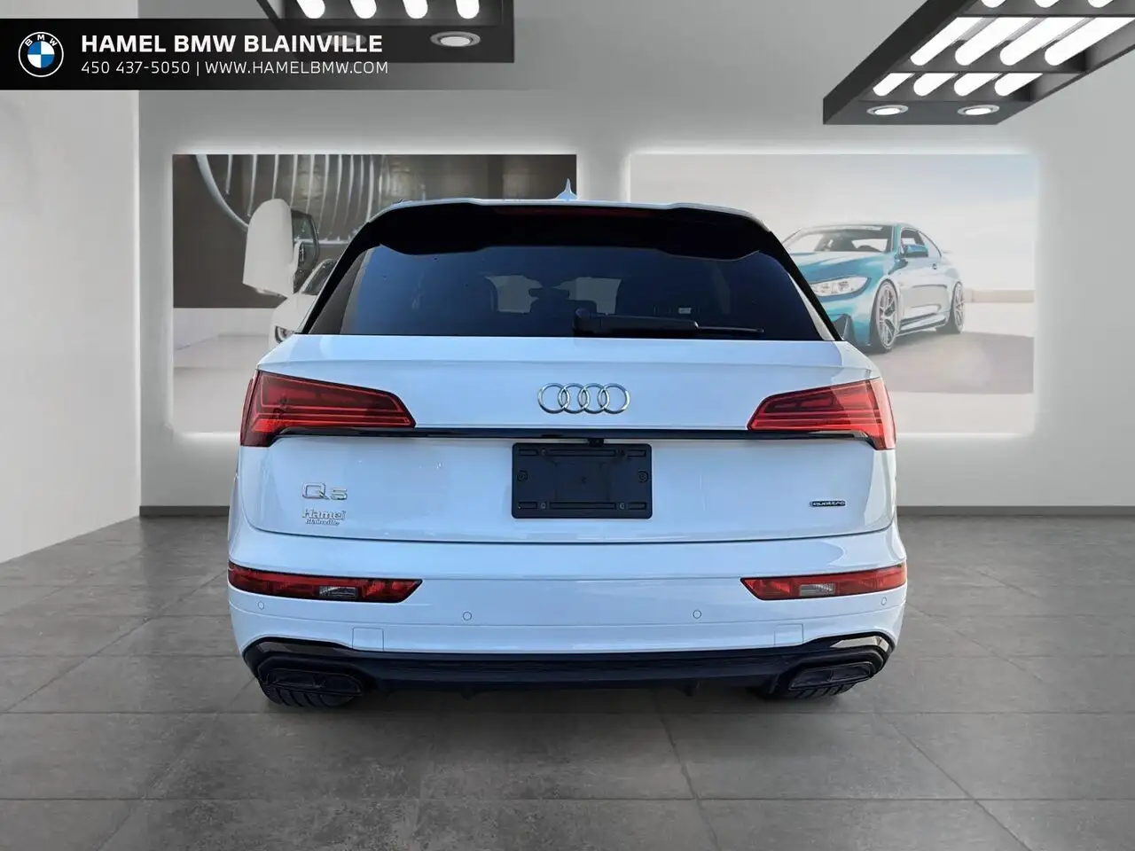 Audi Q5 fotografie Audi Q5