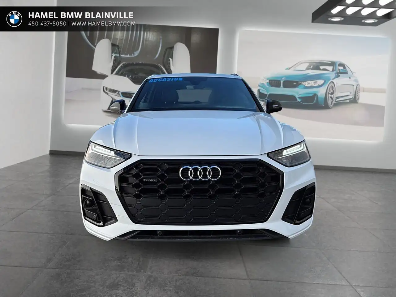 Audi Q5 fotografie Audi Q5