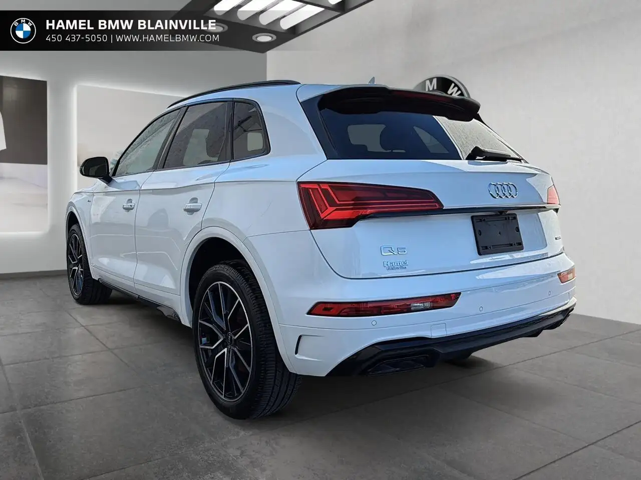 Audi Q5 fotografie Audi Q5