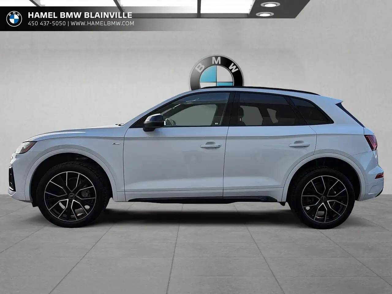 Audi Q5 fotografie Audi Q5