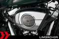 Harley-Davidson Street Glide 117 FLHX, JEKILL, 1. HAND Grün - thumbnail 16