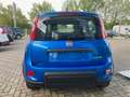 Fiat Panda Panda 1.0 firefly hybrid - KM ZERO - NEOPATENTATI Blu/Azzurro - thumbnail 6