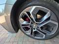 Skoda Octavia Octavia Combi 2.0 TDI DSG 4x4 RS Grau - thumbnail 10