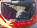 Ford Fiesta 5p 1.4 16v Titanium Gpl - thumbnail 11