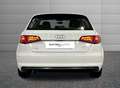 Audi A3 Sportback 1.6 tdi ultra Attraction Bianco - thumbnail 4