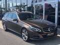 Mercedes-Benz E 250 CDI 4MATIC AVANTGARDE Braun - thumbnail 5