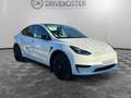 Tesla Model Y Model Y RWD  Standard PHASE 1 - thumbnail 7