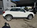 Audi Q2 30 TDI Design S-tronic - thumbnail 7