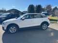 Audi Q2 30 TDI Design S-tronic - thumbnail 3
