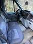 Ford Transit Bus 250K - thumbnail 7