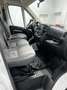 Fiat DUCATO 33 2.3L MJT 120 L2H1 |44,3t€|AC|AHK|S.HEI Weiß - thumbnail 10