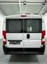 Fiat DUCATO 33 2.3L MJT 120 L2H1 |44,3t€|AC|AHK|S.HEI Weiß - thumbnail 4