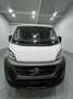 Fiat DUCATO 33 2.3L MJT 120 L2H1 |44,3t€|AC|AHK|S.HEI Weiß - thumbnail 8