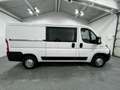 Fiat DUCATO 33 2.3L MJT 120 L2H1 |44,3t€|AC|AHK|S.HEI Weiß - thumbnail 6