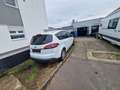 Ford S-Max S-Max 2.0 TDCi DPF Aut. Business Edition Weiß - thumbnail 5