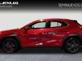 Lexus UX 250h Business 2WD Piros - thumbnail 3