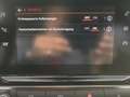 Citroen C3 PureTech 82 5-Gang-Manuell Feel Grau - thumbnail 19