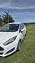 Ford Fiesta Fiesta VI 2013 5p 1.5 tdci Titanium 75cv E6 - thumbnail 10
