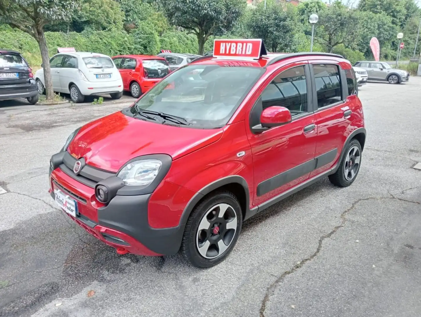 Fiat Panda Cross 1.0 FireFly S&S "CROSS" Hybrid KM 19000 Rosso - 1