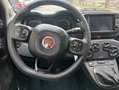 Fiat Panda Cross 1.0 FireFly S&S "CROSS" Hybrid KM 19000 Rosso - thumbnail 9