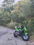 Kawasaki Z 750 Vert - thumbnail 5