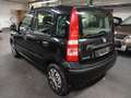Fiat Panda 1.2 8V Dynamic KLIMA TUV ZAHNRIEMEN NEU Schwarz - thumbnail 6