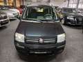 Fiat Panda 1.2 8V Dynamic KLIMA TUV ZAHNRIEMEN NEU Schwarz - thumbnail 9