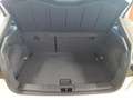 SEAT Ibiza FR 1.0 TSI DSG LED*NAVI*SHZ Weiß - thumbnail 5