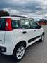 Fiat Panda Panda III 2012 0.9 t.air Natural Power Easy 80cv Bianco - thumbnail 7