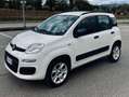 Fiat Panda Panda III 2012 0.9 t.air Natural Power Easy 80cv Bianco - thumbnail 1