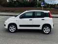 Fiat Panda Panda III 2012 0.9 t.air Natural Power Easy 80cv Bianco - thumbnail 5