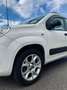 Fiat Panda Panda III 2012 0.9 t.air Natural Power Easy 80cv Bianco - thumbnail 4