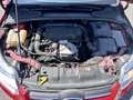 Ford Focus Trend 1,0 EcoBoost Rot - thumbnail 13