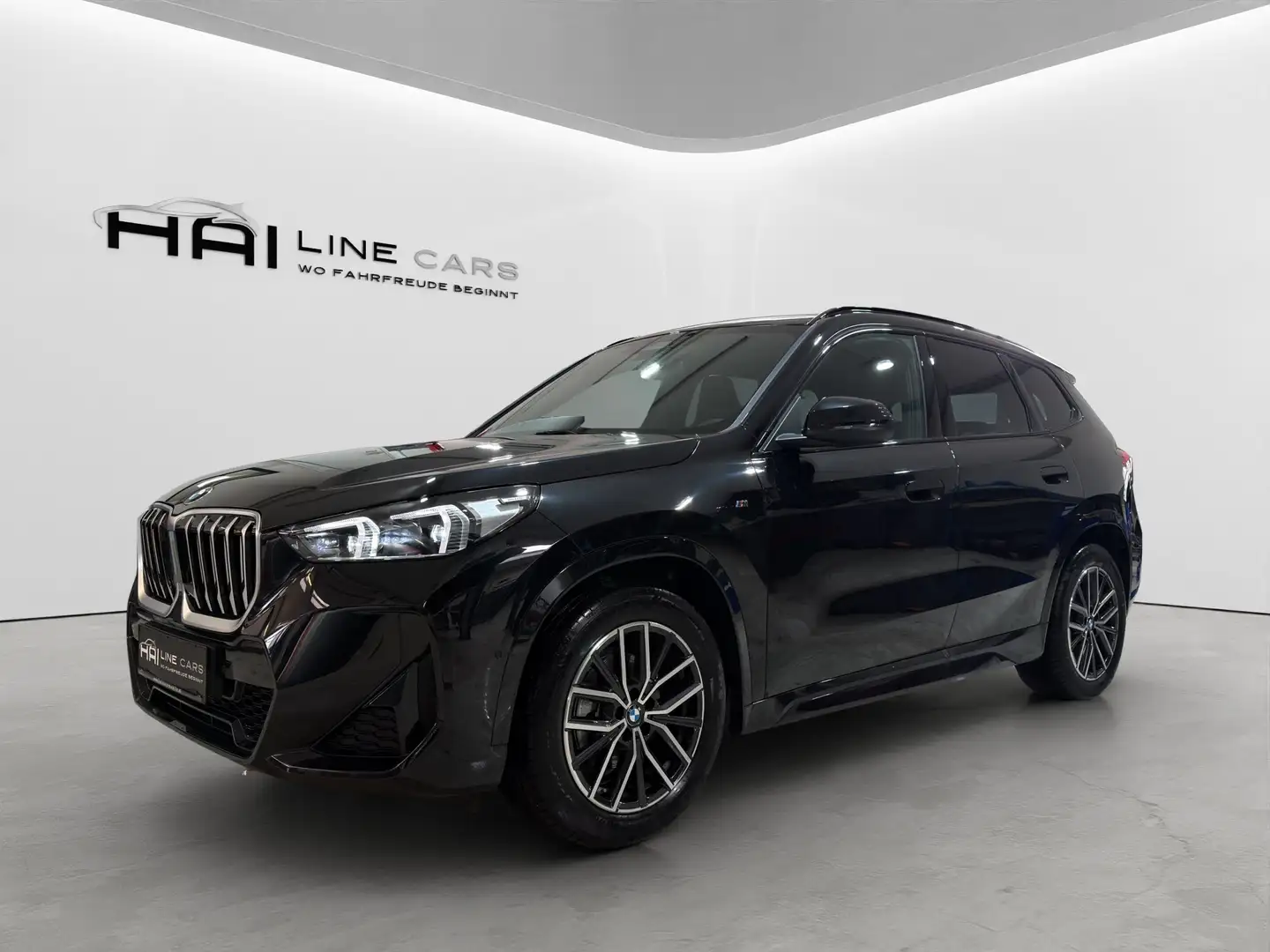 BMW X1 20 d sDrive M Sport | AHK | Shadow | Premium-Paket Schwarz - 1