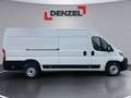 Fiat Ducato Maxi Kastenwagen L4H2 Weiß - thumbnail 5