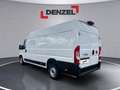 Fiat Ducato Maxi Kastenwagen L4H2 Weiß - thumbnail 3