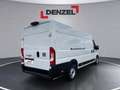 Fiat Ducato Maxi Kastenwagen L4H2 Weiß - thumbnail 4