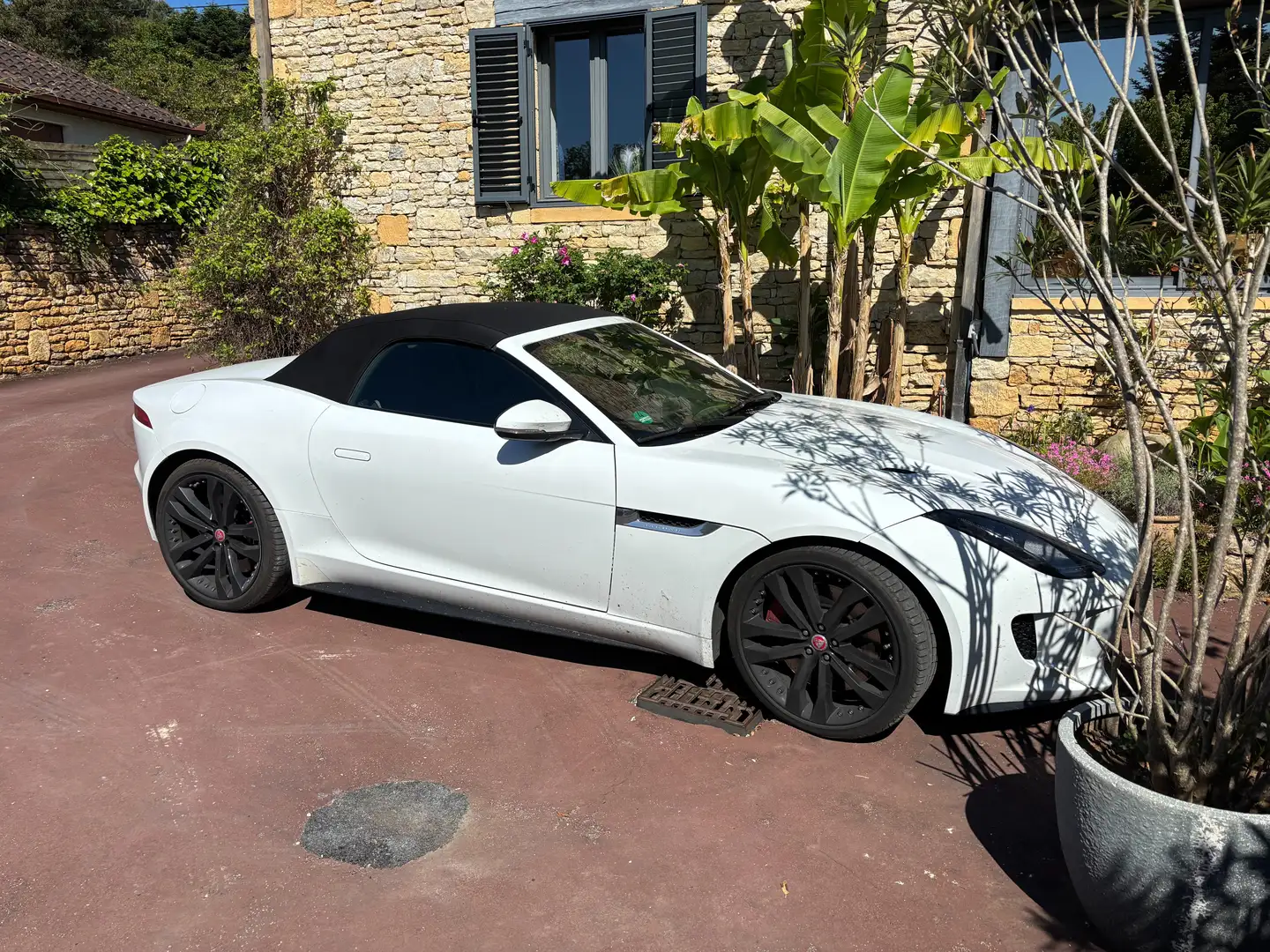 Jaguar F-Type F-Type R Cabriolet AWD Aut. Biały - 1
