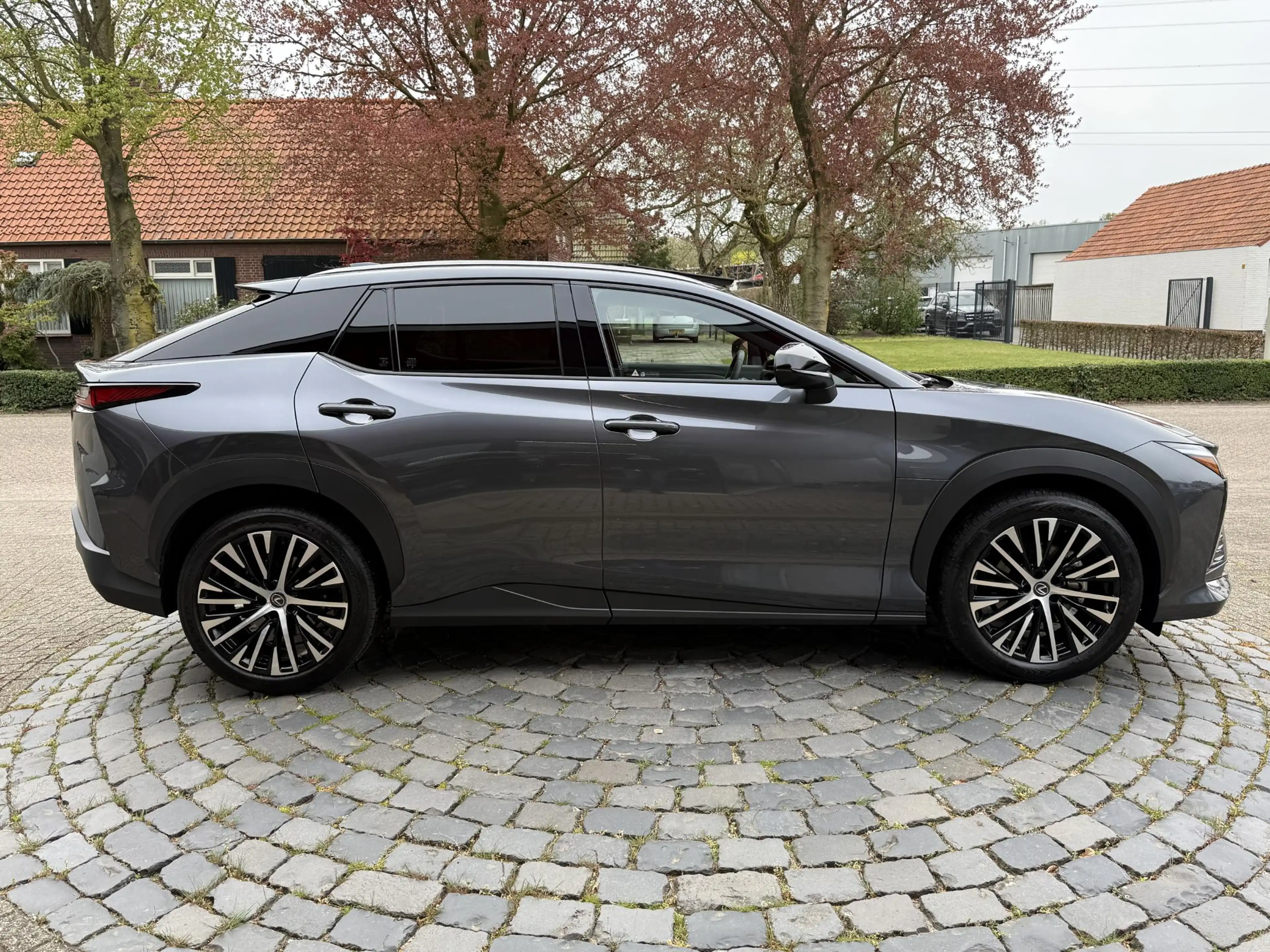 Lexus RZ 450e Executive Line 71 kWh Premium Pack | 20" LMV — photo 6