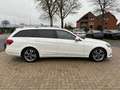 Mercedes-Benz E 220 CDI T, LED, Leder, AHK, Scheckheftgepflegt Blanc - thumbnail 6