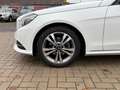 Mercedes-Benz E 220 CDI T, LED, Leder, AHK, Scheckheftgepflegt Blanc - thumbnail 10